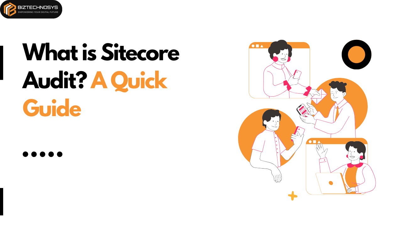 What is Sitecore Audit