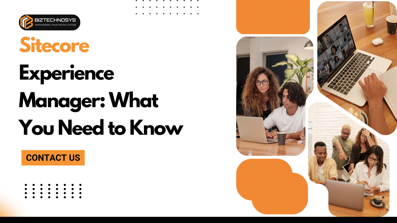 Sitecore Experience Manager
