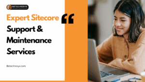 Sitecore Support and Maintenance