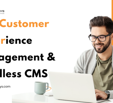 B2B Customer Experience Management & Headless CMS