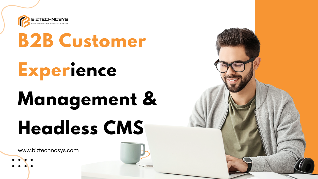 B2B Customer Experience Management & Headless CMS